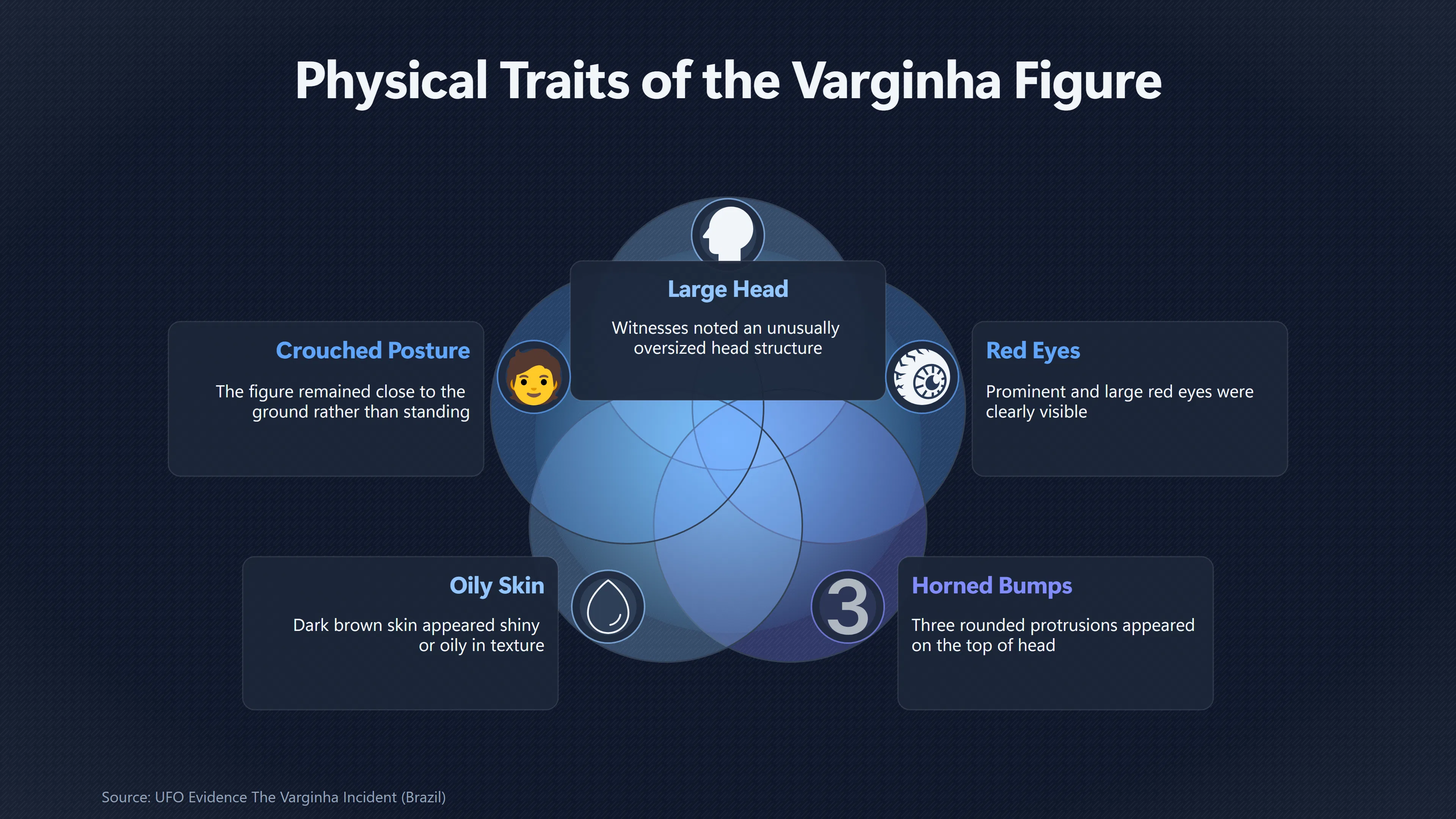 Overview image for What Did the Varginha Witnesses Really See?