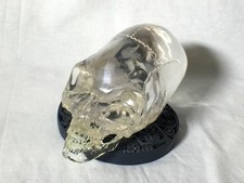 Listing image for Indiana Jones, Alien Crystal Skull, Circular Jungle Stand, Real Prop Replica