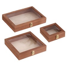 Listing image for Insect Collecting Box Boxes Butterfly Display Case Specimen